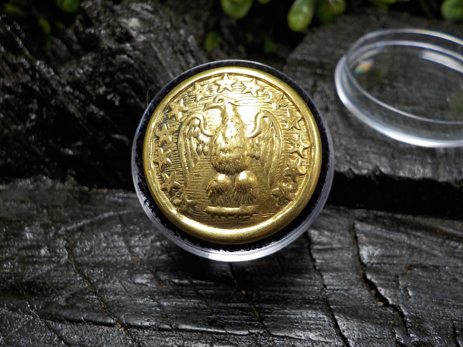 24k Gold Plated Confederate Staff Officers Coat Button with Free Button Case