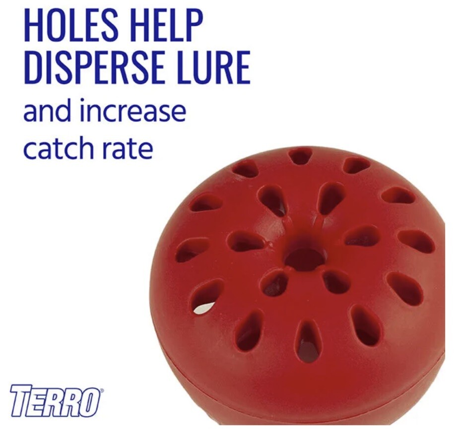 Terro T2502B 2 Pack Fruit Fly Traps with 90 day Fruit Fly Lure