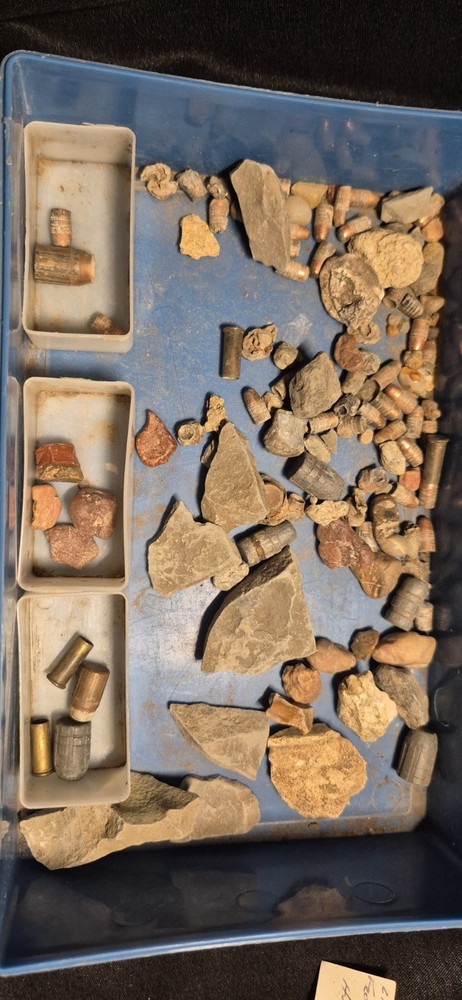 Trilobite fossil And Extras