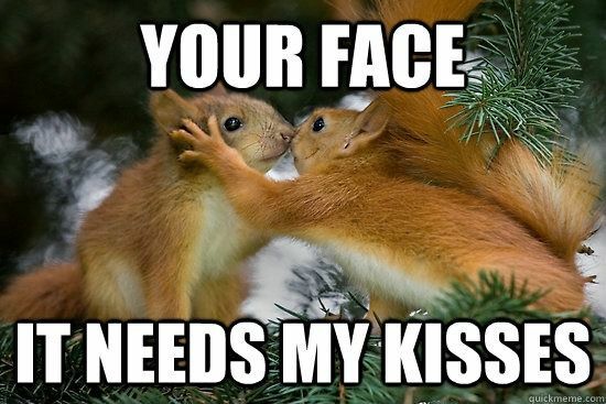 Funny Squirrel  refrigerator magnet 3 1/ 2x 4 1/2