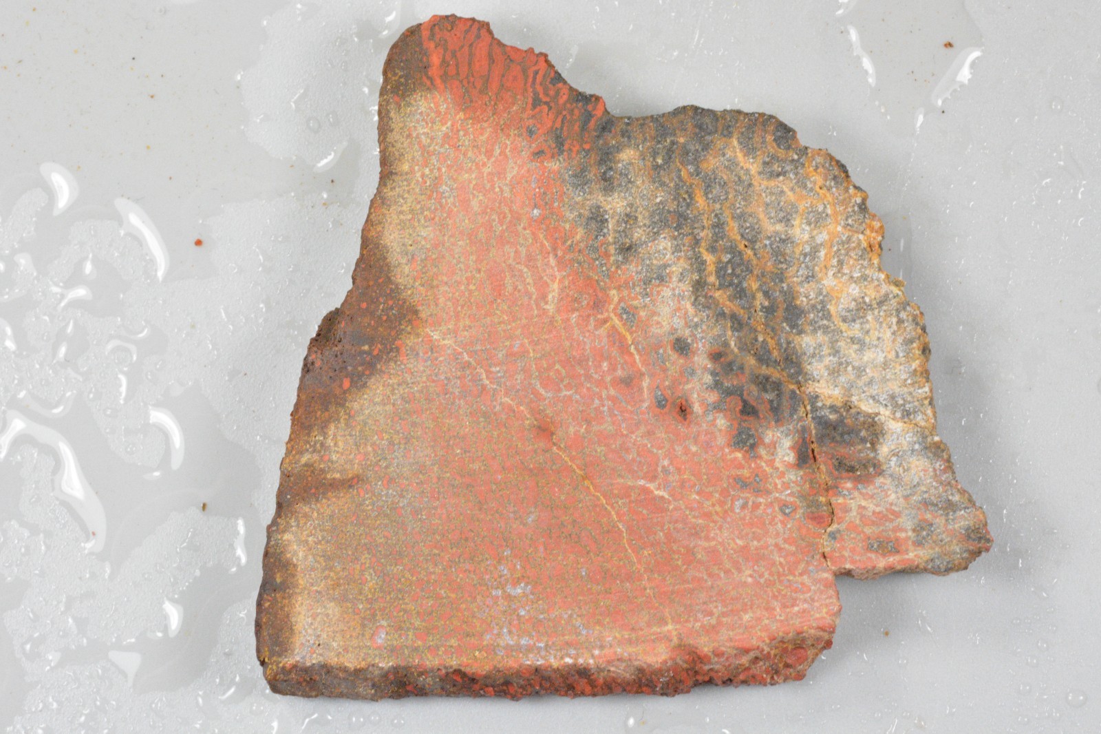 Orange Agatized Dinosaur Bone, New Mexico, 55 grams