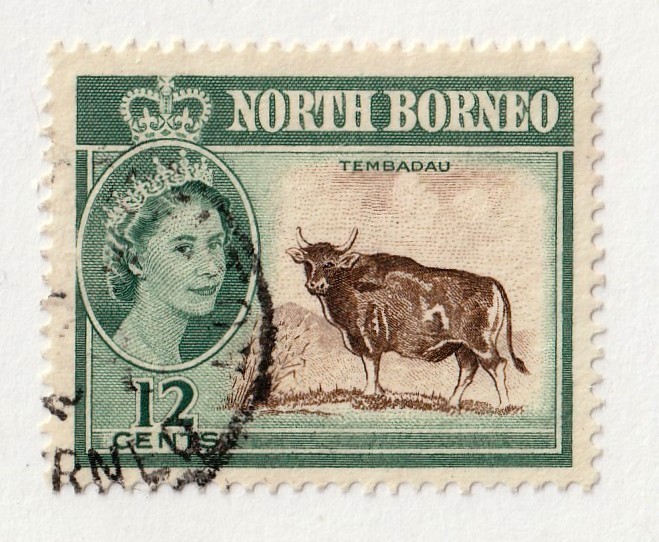 North Borneo       285           used