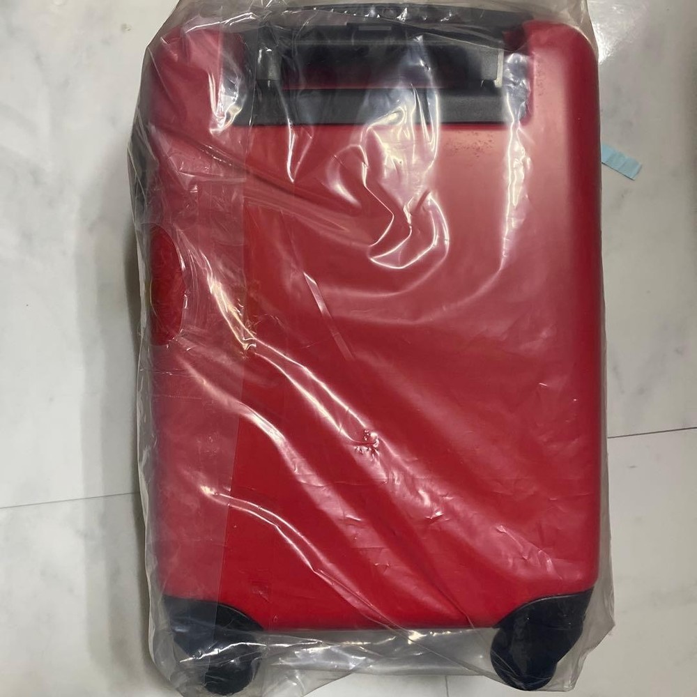 X JAPAN yoshikitty trunk type carry case