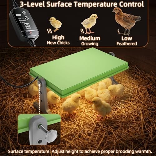 Adjustable Chick Brooder Heater 12x8 for Ducks, Birds & Chicks - Temperature Con