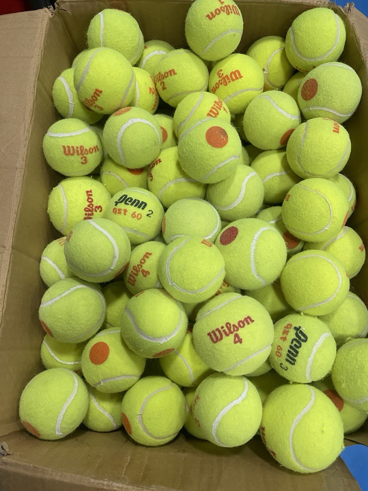 50 Wilson Orange DotTennis Balls EXCELLENT  A QUALITY SEE OTHER LISTED No P Rico