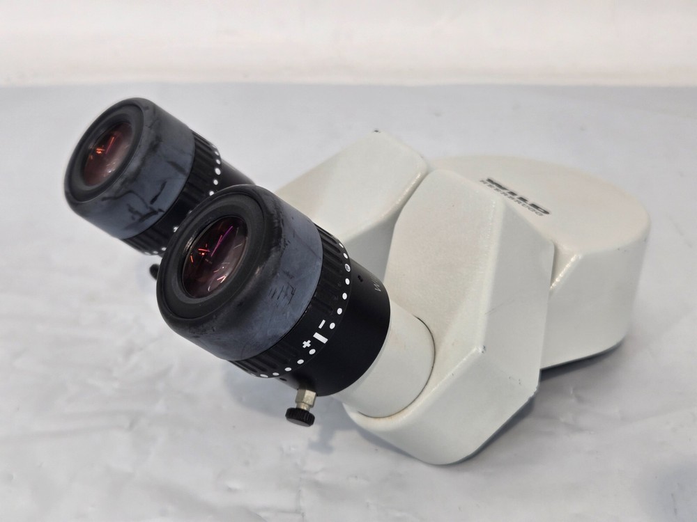 Wild Heerburg Microscope Binocular Head 25x9.5B