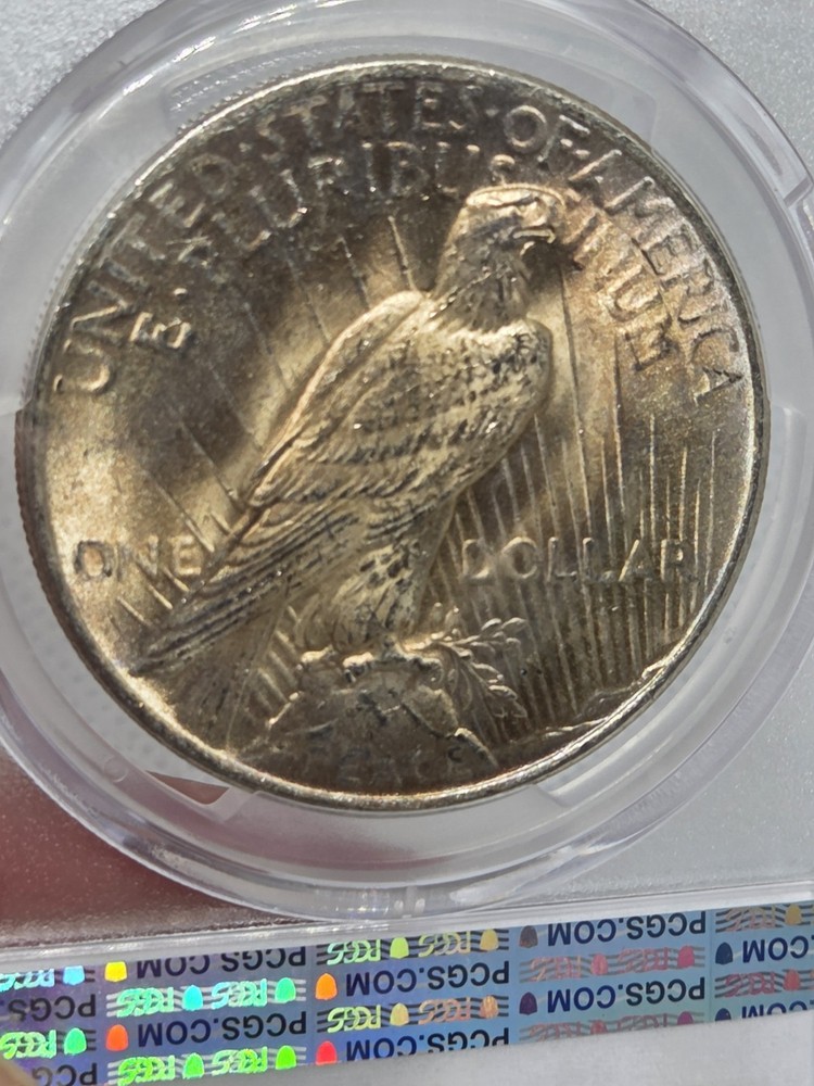 1925 $1 Peace Dollar PCGS MS63 Toned