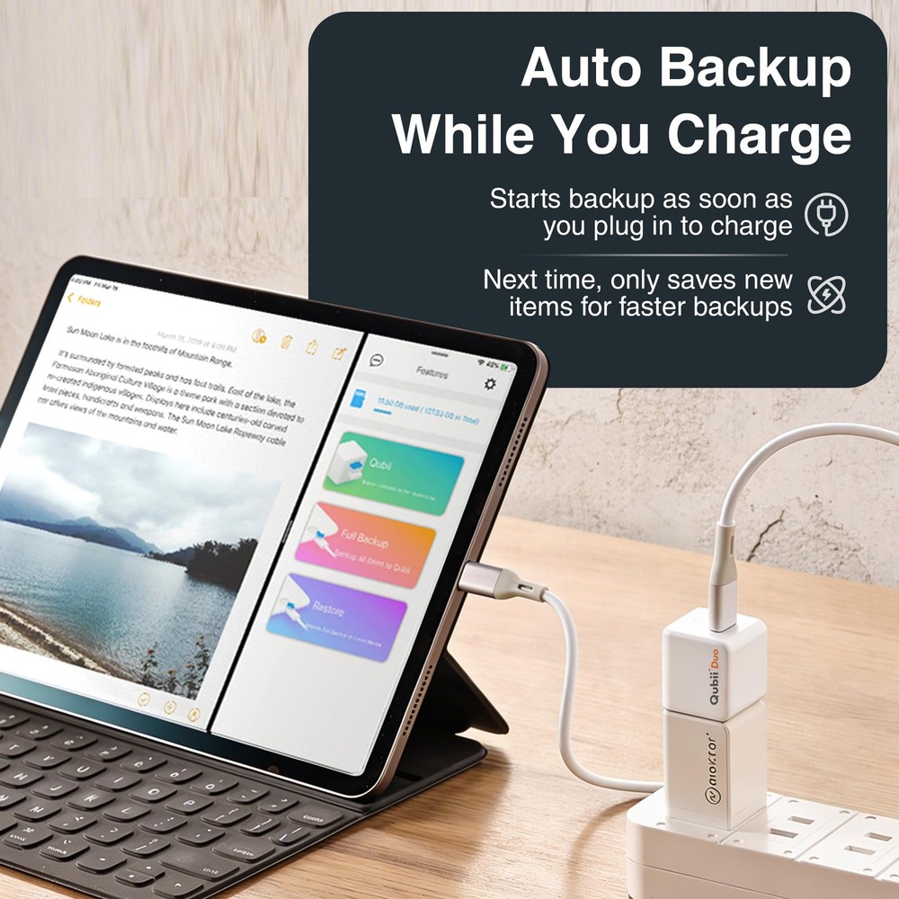 Qubii Duo USB-C Auto Backup Stick & 128GB MicroSD Bundle | Subscription-Free ...