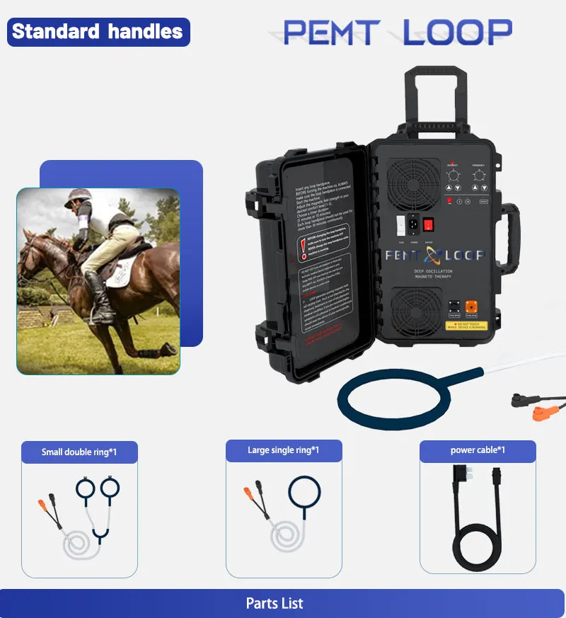 PMST LOOP Equine PEMF Magnetic Therapy Body Relax Massage Physical Machine