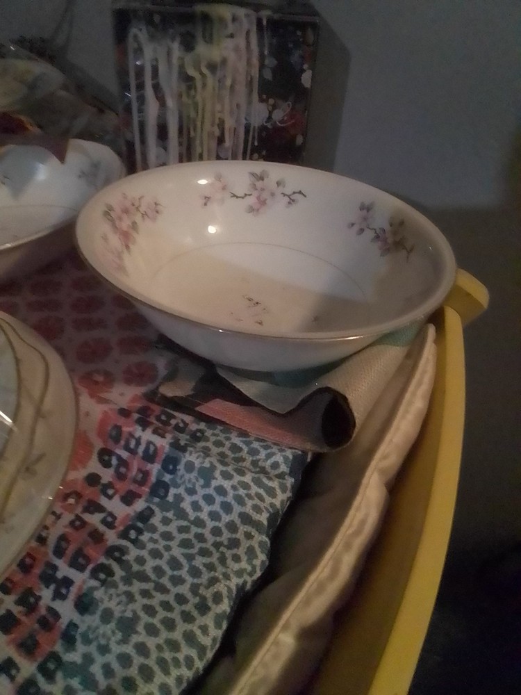 Vintage Eggshell Nautilus