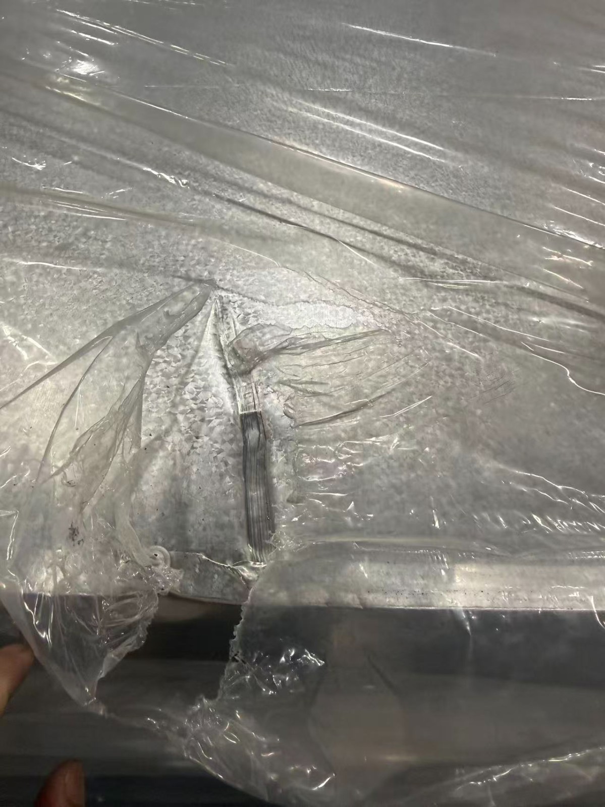 Westlake 54" Commercial Freezer Double Door Stainless Steel – Dent