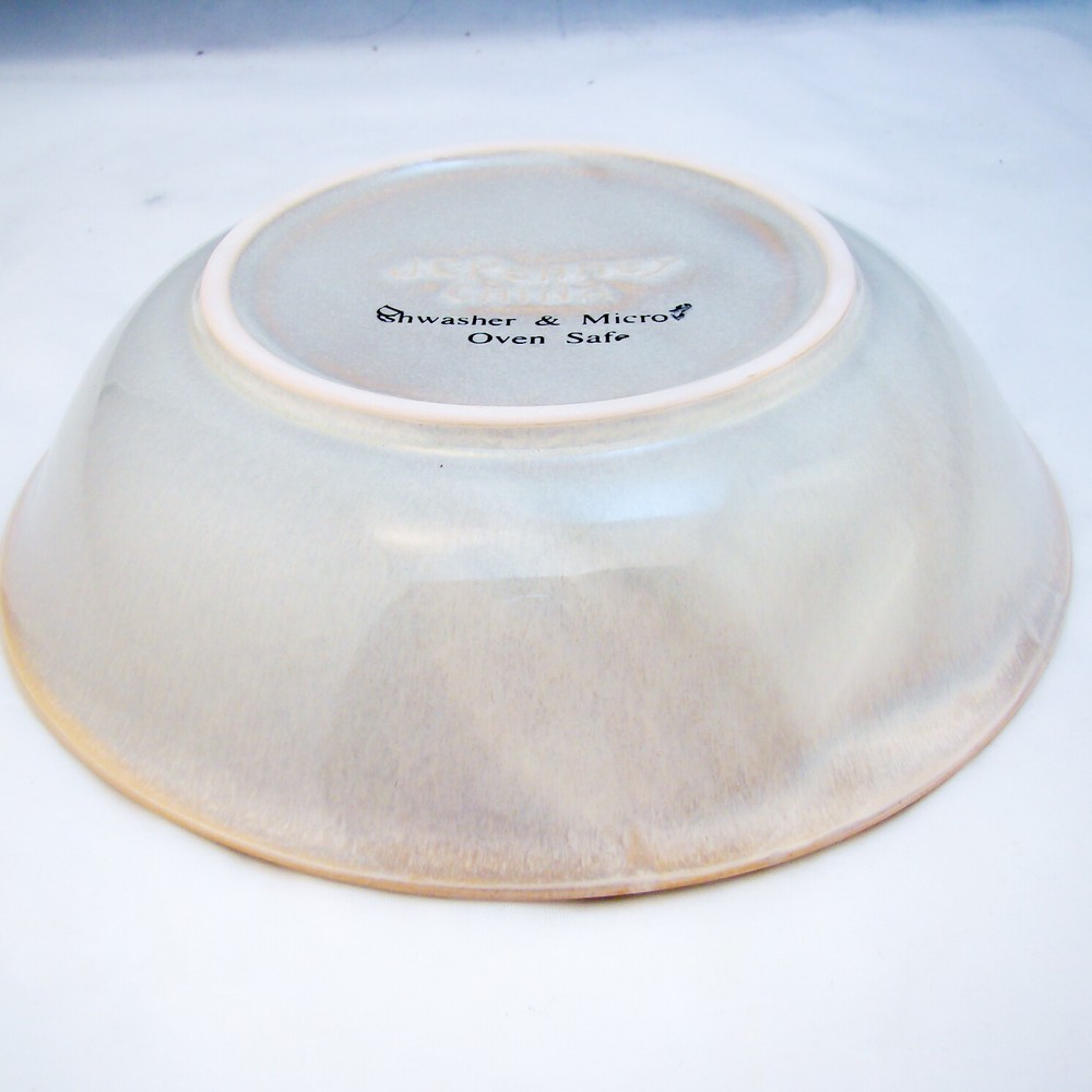 JCPenney VARIATIONS SAND (*read) Soup Bowl(s)