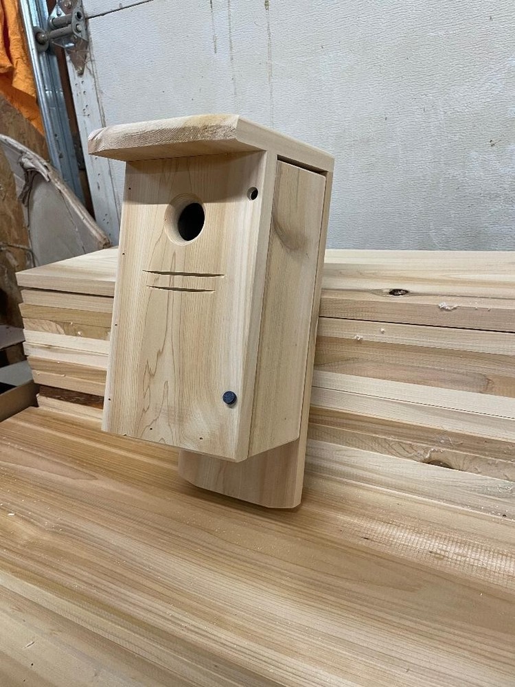 Downy woodpecker nest box