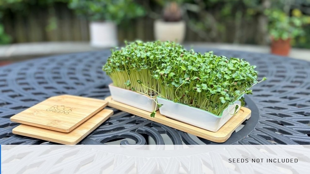 Microgreens Growing Kit. Easy-To-Use, Self-Watering. Includes Two Specially D...