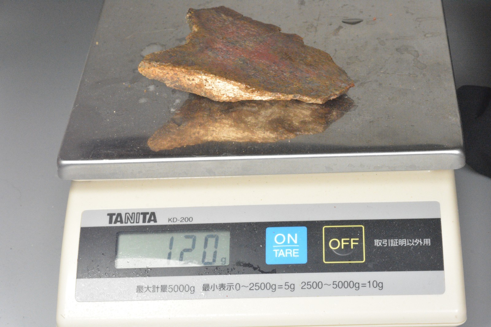 Orange Agatized Dinosaur Bone, New Mexico, 120 grams