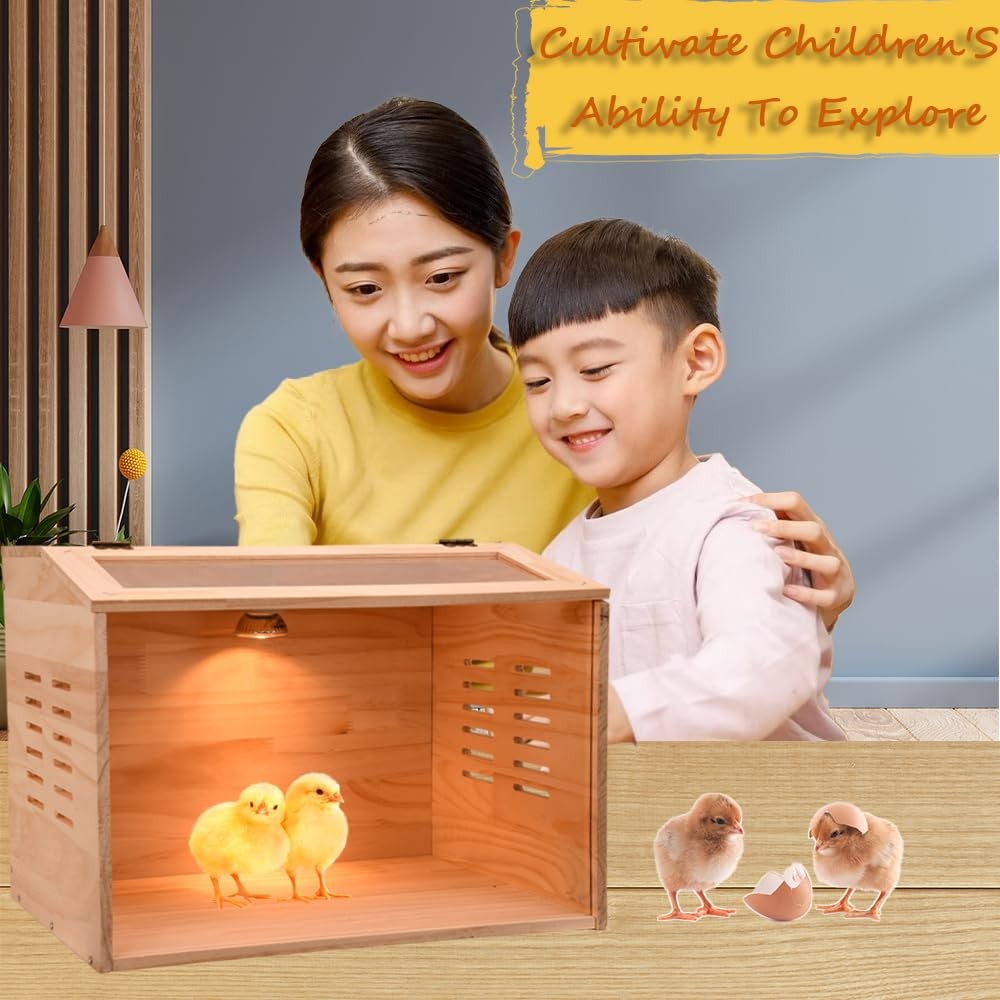 Brooder Box for Chicks, 3-8 Chicken Heater, Poultry Brooder with Heaters for