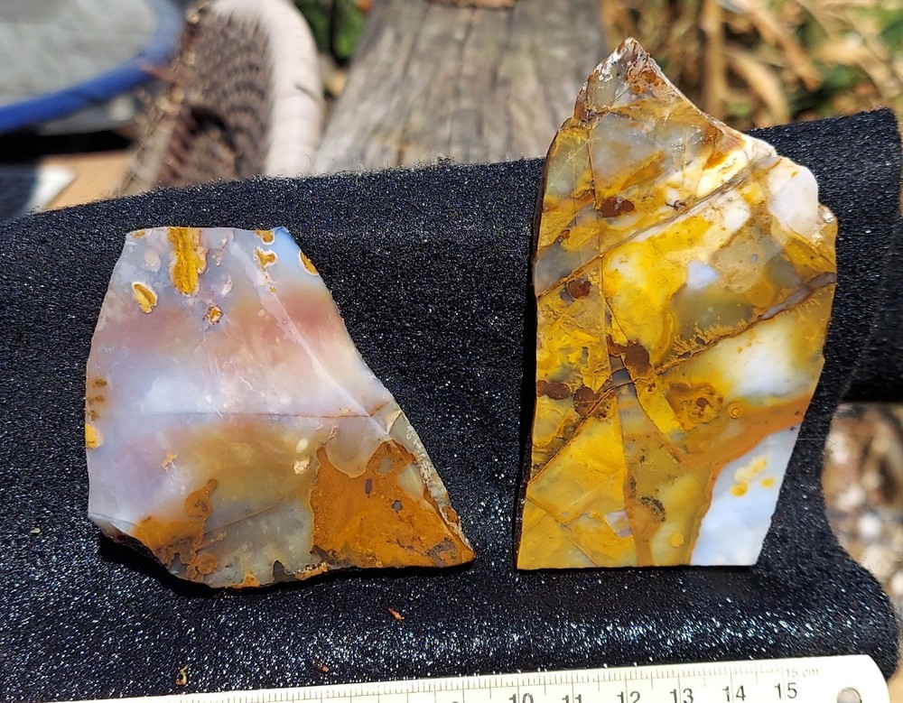 Blue Ice Polka Dot Agate Pair of Slabs
