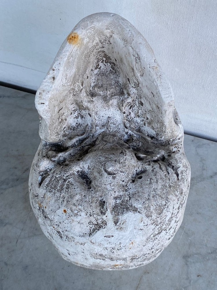 Vintage Solid Plaster Human Skull Head Model. Life Size. RARE