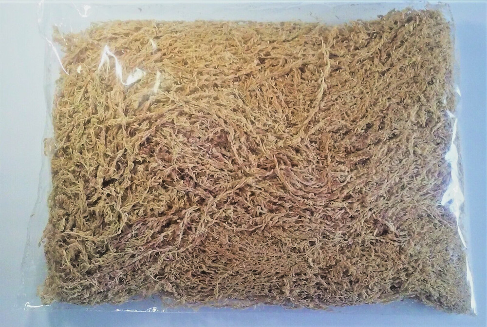 Peruvian Premium Long Strand Sphagnum Moss 5A, clean