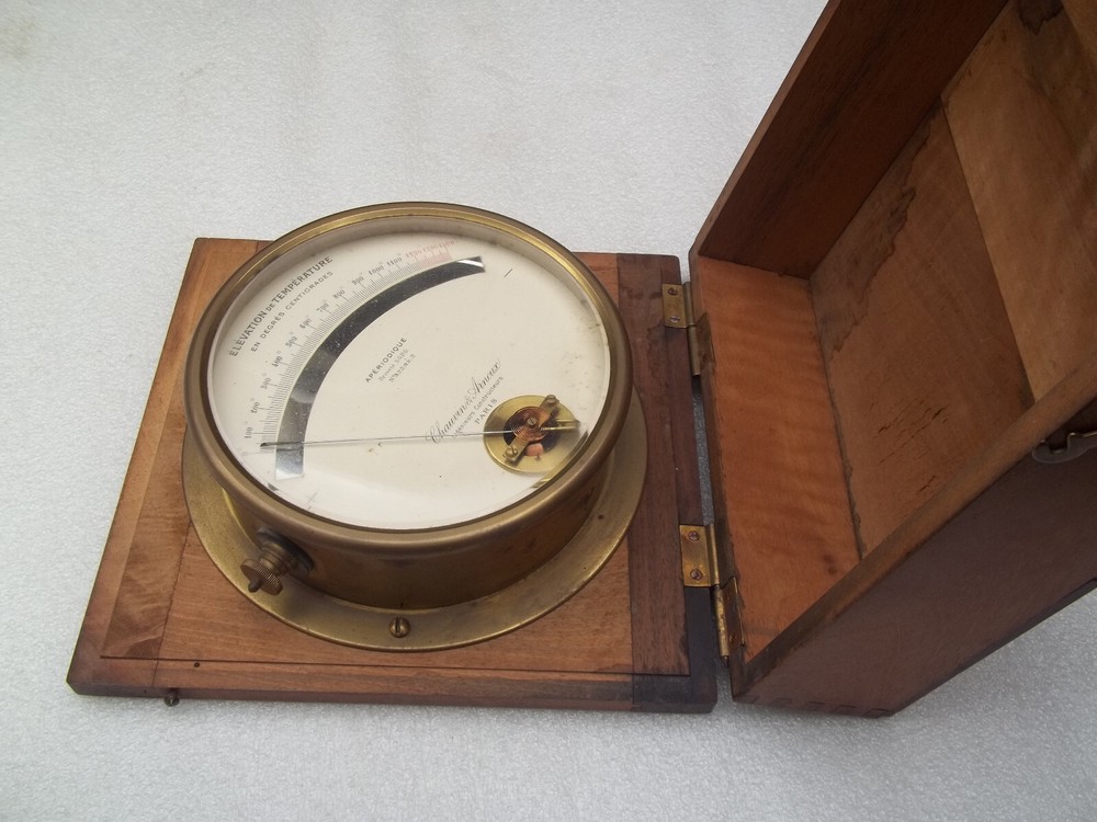 Antique 19th Century Thermometer