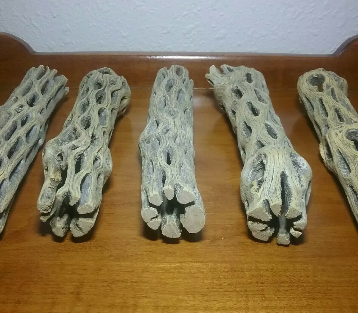 5 LARGE 6" inch CHOLLA Wood Cactus pieces | PRE-CLEANED | AQUARIUM | Air Plants