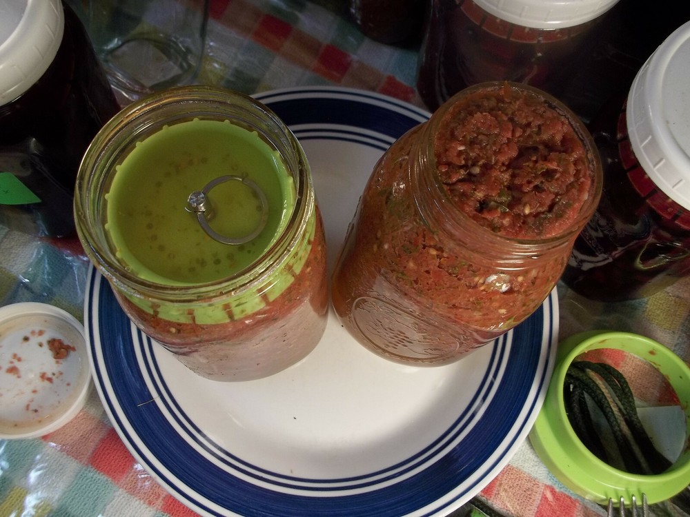 4 Pickle*Pusher Complete Fermenting Kits for Mason Jar