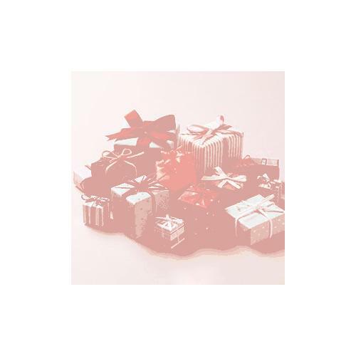 Mesha Small White Gift Boxes 4x4x4 (100 Pack) Gift Boxes with Lids for