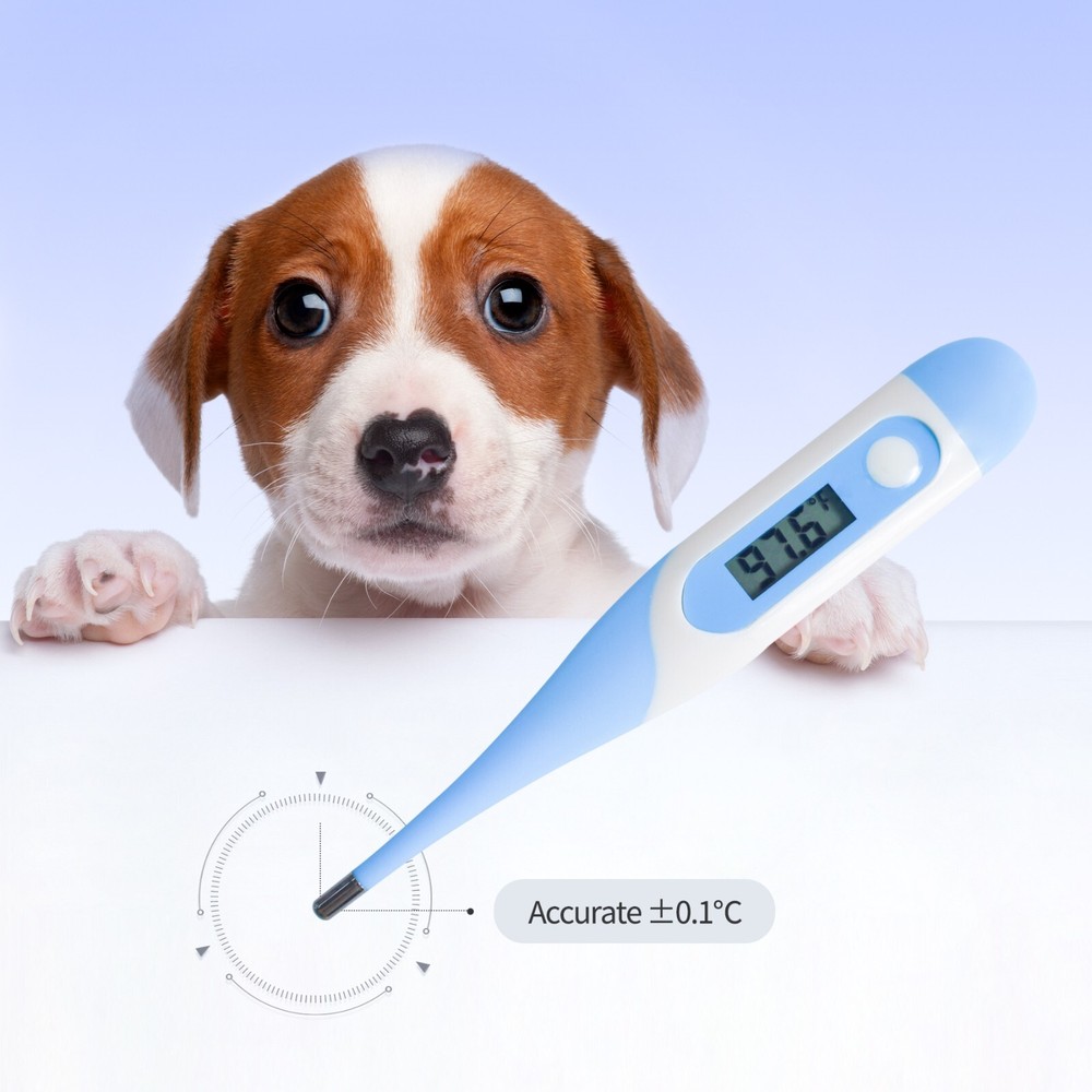 T15S Digital Veterinary Electronic Thermometer Temperature Sensor Accurate Alarm