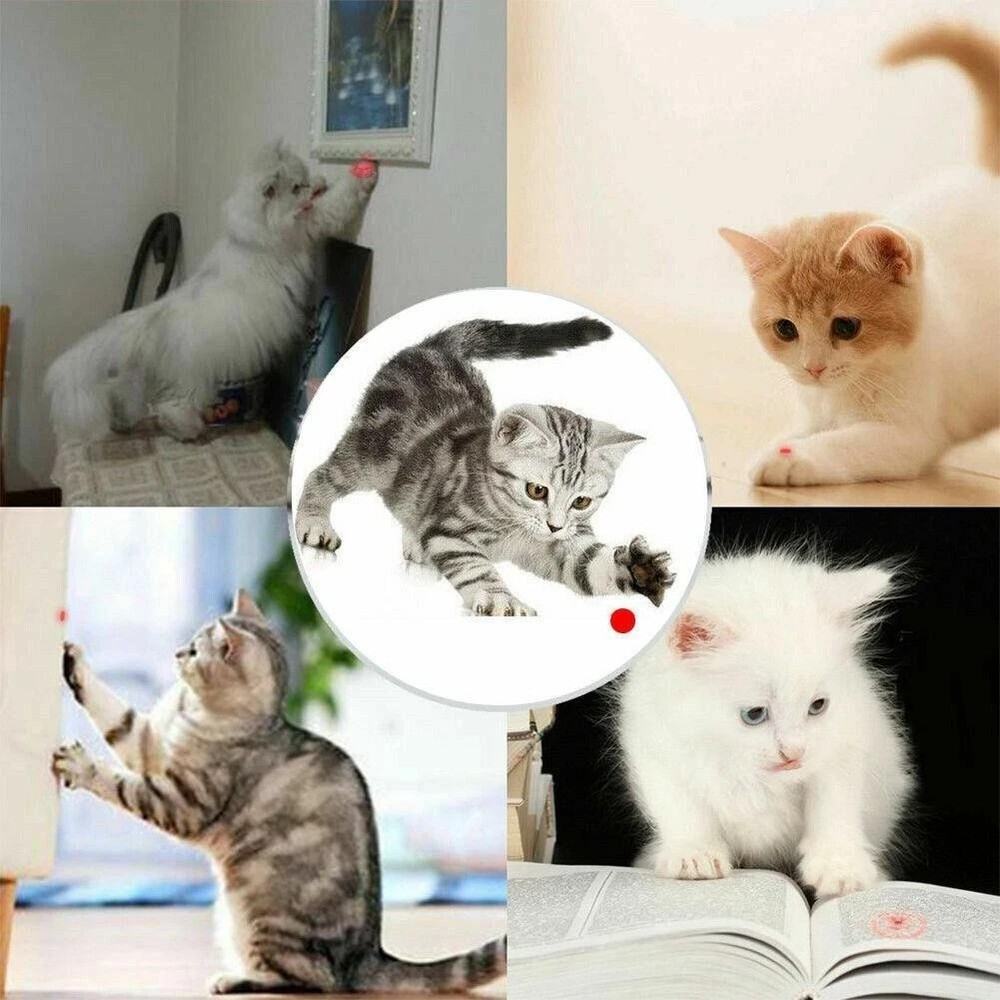Portable Light Laser Pointer Rechargeable Flashlight Cat Toy Adjustable FocusRed