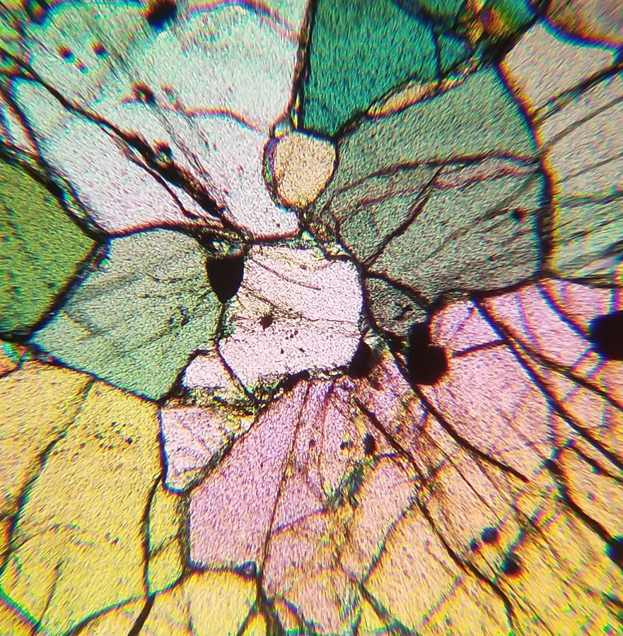 Peridotite Petrographic Microscope Slide (9-B)