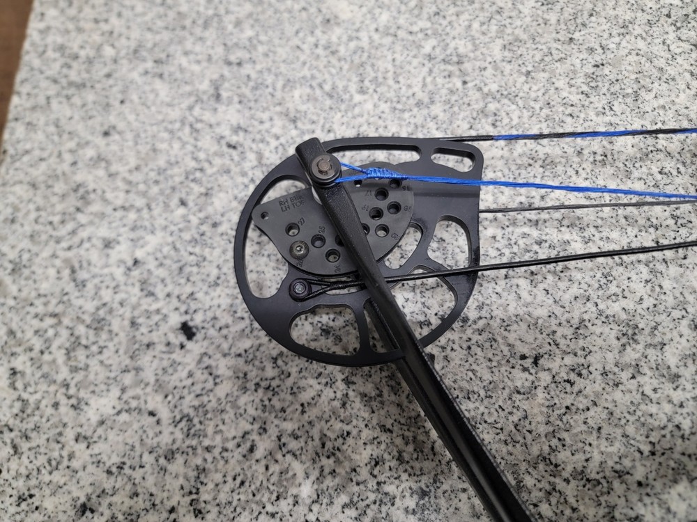 Bear Apprentice III 3 Youth Compound Bow