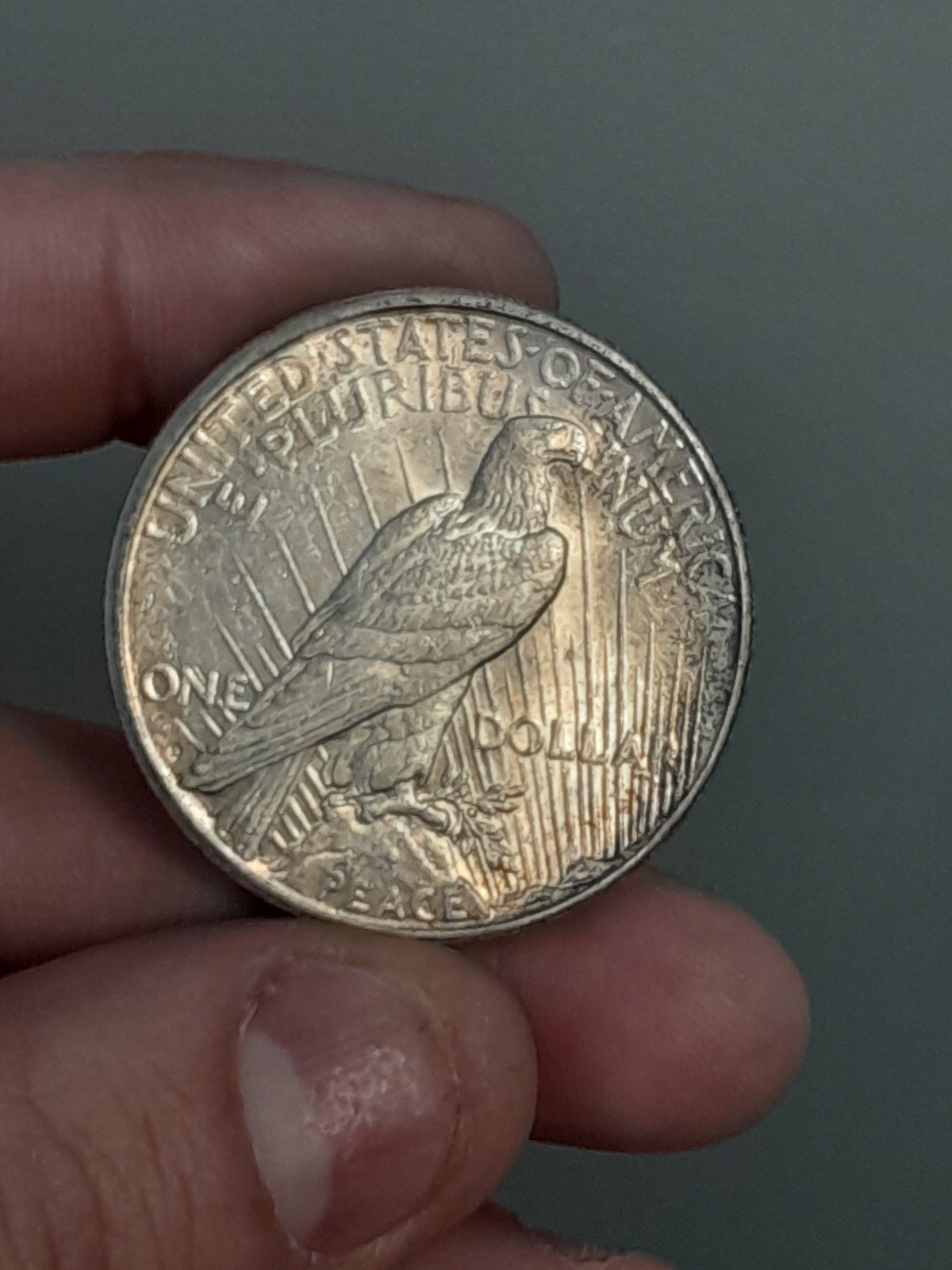 1922- S Peace Dollar Toned #5