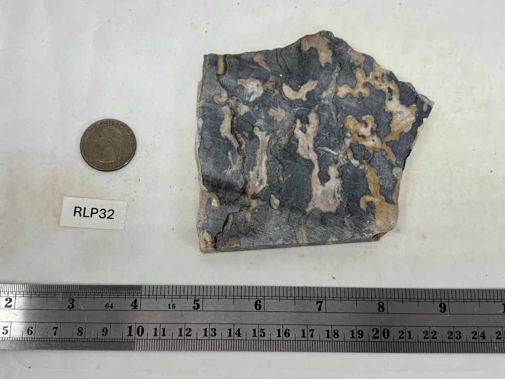 Large Roan Leopard Marble Rough Slab Cabbing Lapidary Combo Ship Avail
