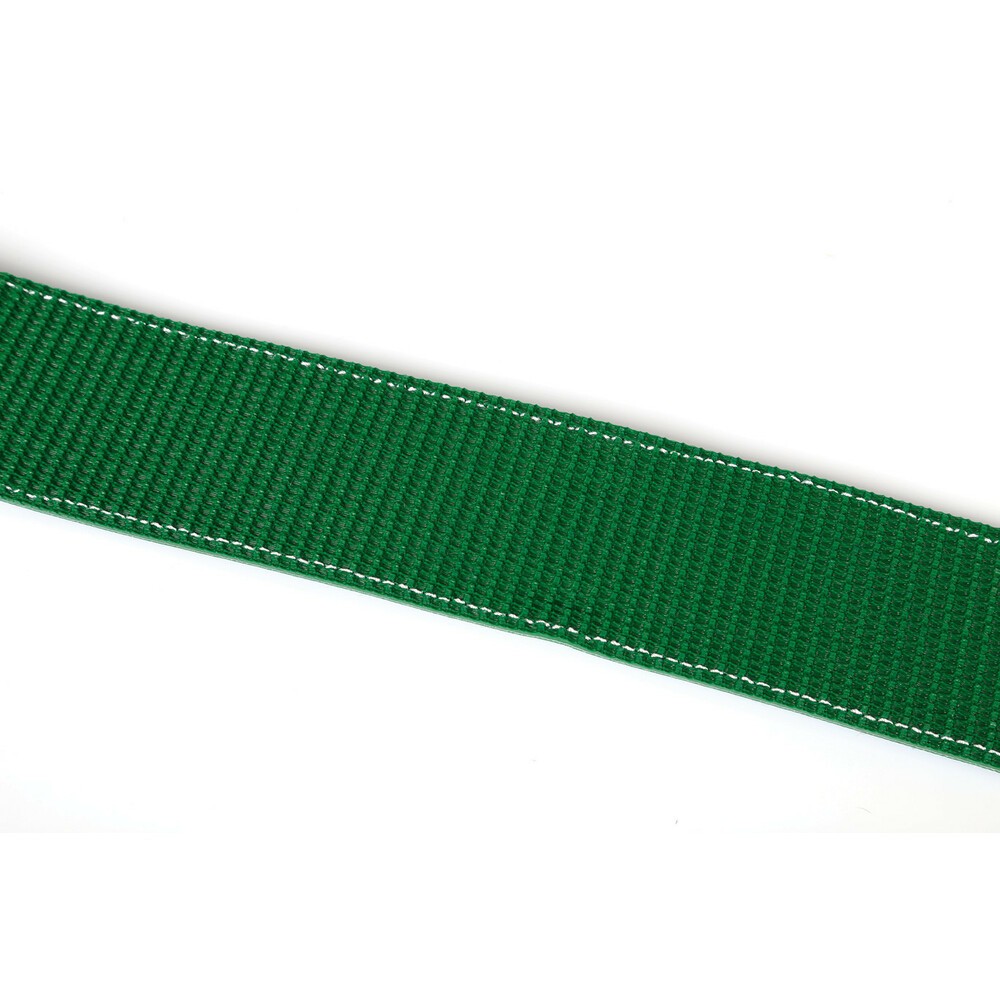 Bisarca Tie Down Strap, Rotating Hook - 5000 Kg - 5x250 cm