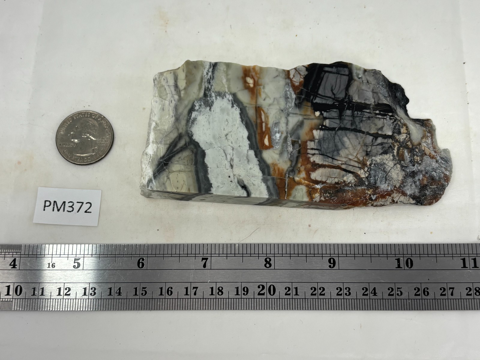 Picasso Marble (Jasper) end Slab Cabbing Lapidary Utah Combo Ship Avail