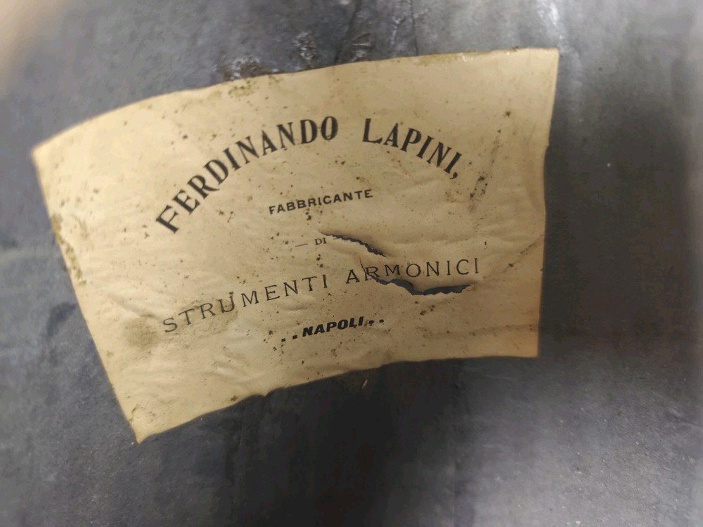 Mandolin 4/4 Ferdinando Lapini 1890 Naples 曼陀林 만돌린マンドリン