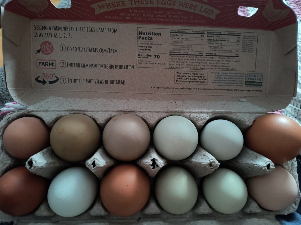 1 dozen+3 Rainbow Hatching Eggs