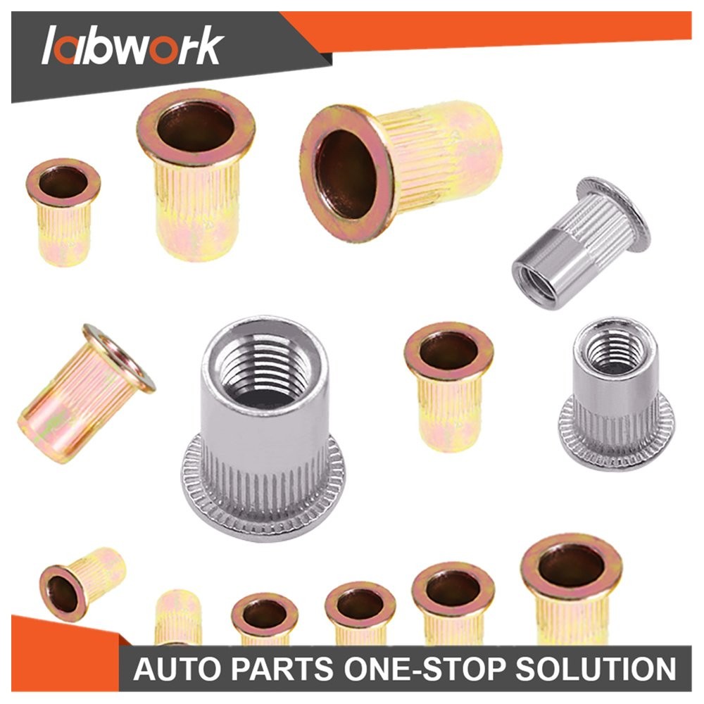 Labwork Rivet Nut Gun Kit Rivnut Tool Setter Thread Setting Nutsert Tool 900 Pcs