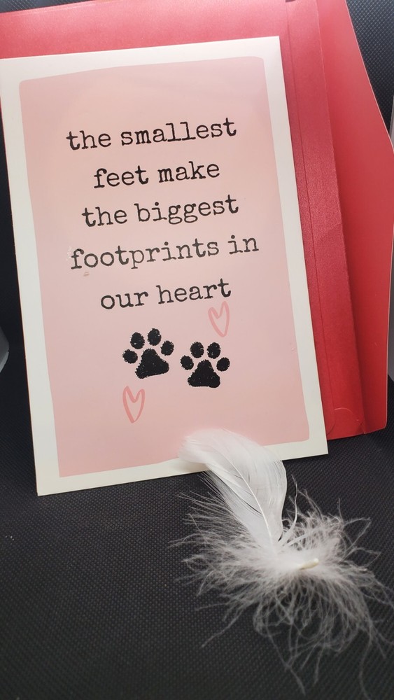 Pet Remembrance Memory Box