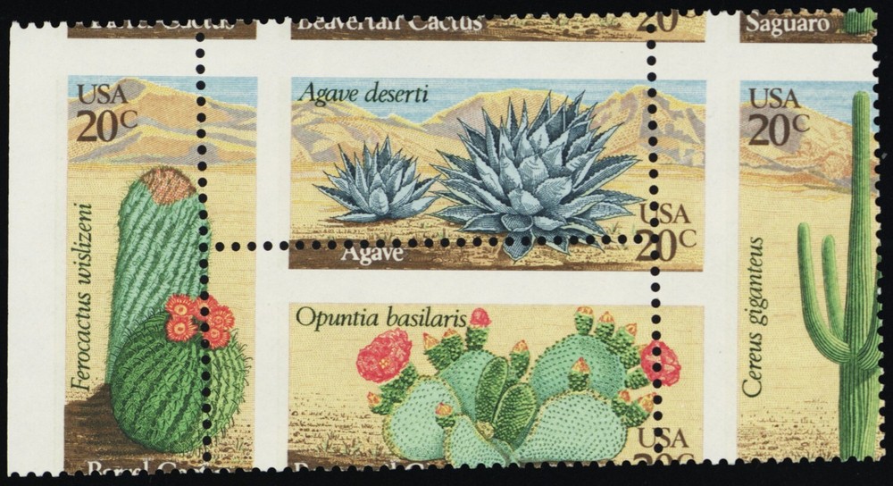 1945a, MNH 20¢ Cactus - Two Way Misperforation Error Block - Stuart Katz