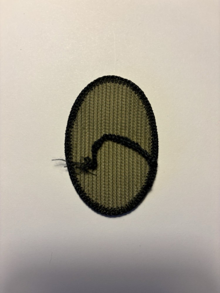 30th Infantry Division / Brigade U.S. Army Shoulder Patch With Hook Back