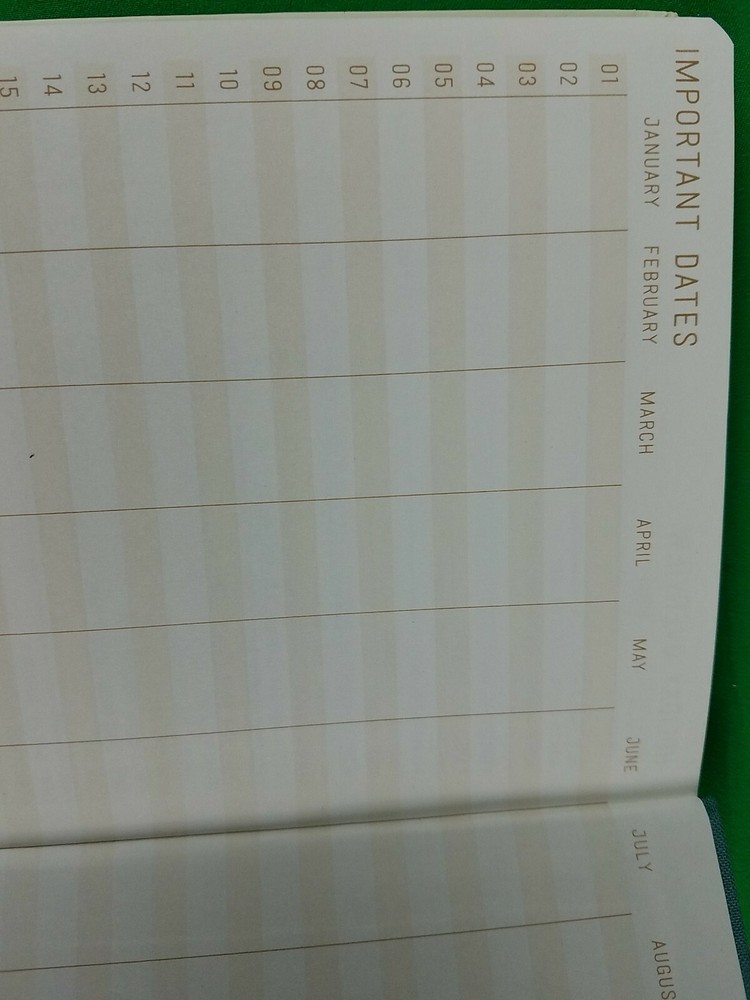 Tall Tales Diary Journal