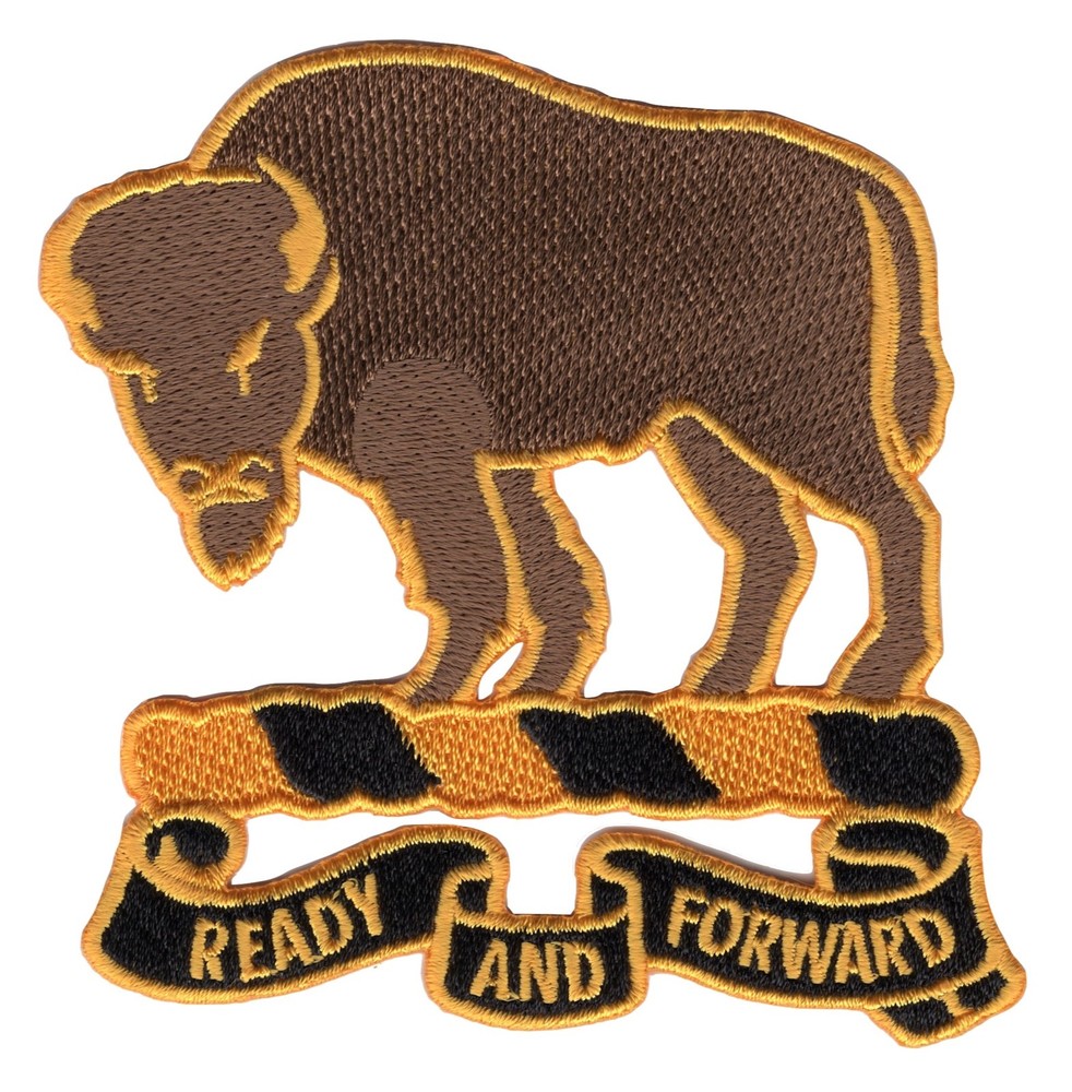 10th Cavalry Regiment Patch