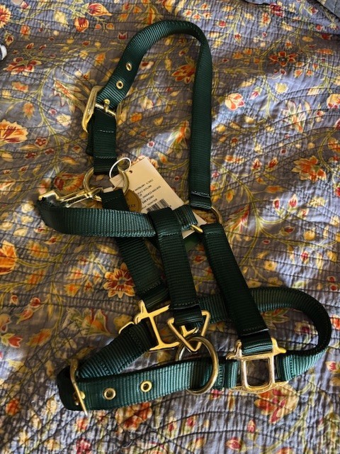 Dover Saddlery Nylon Small Pony Halter Hunter Green Brass NWT