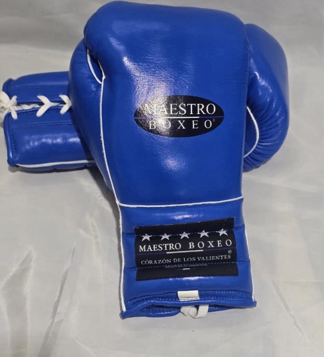 Maestro Boxeo
