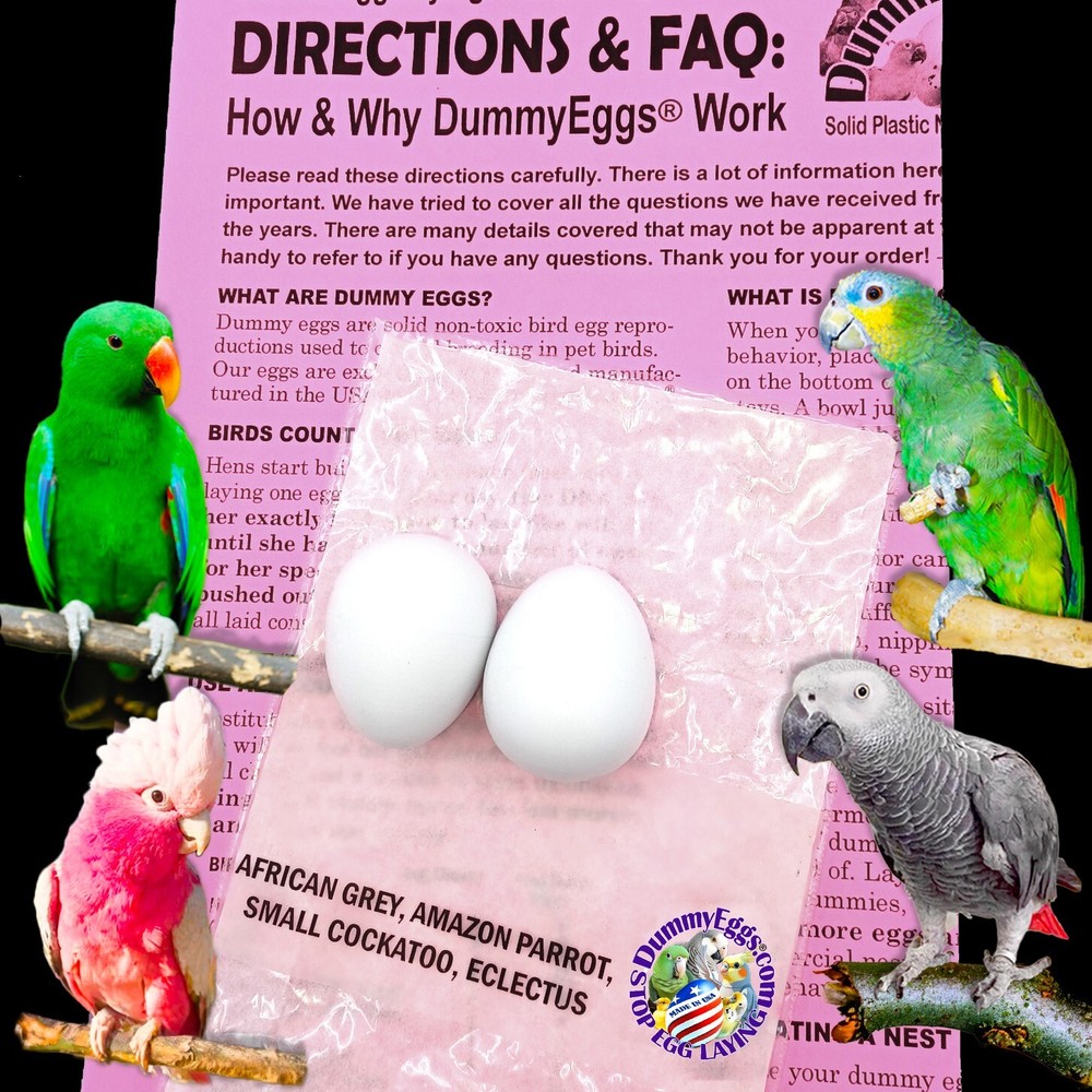 Dummy Eggs PLASTIC MED PARROT BIRD EGGS STOP LAYING African Gray Amazon Eclectus