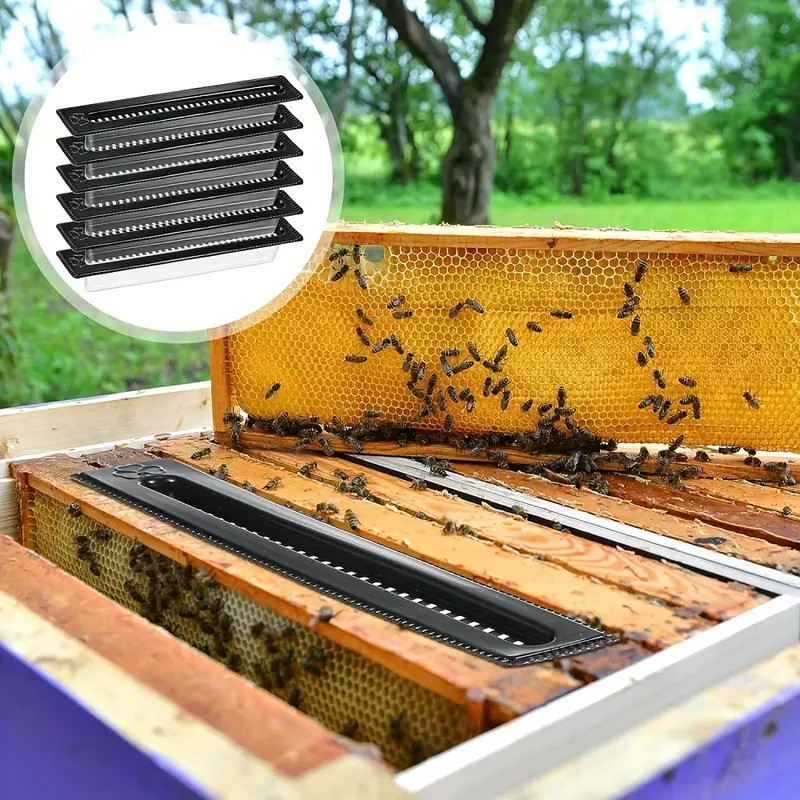 20/40/60×Black Small Bee Hive Beetle Blaster BeeHive Beetle Trap Beekeeping Tool