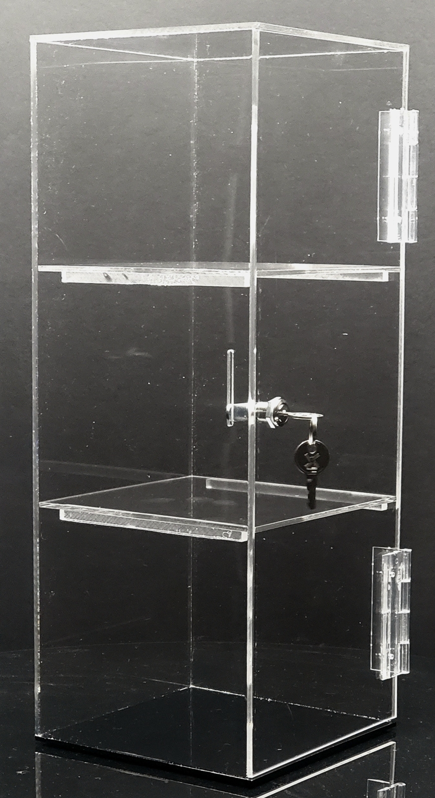 T'z Tagz Clear Acrylic Display Case Removable 2 Shelf Locking Showcase Cabinet