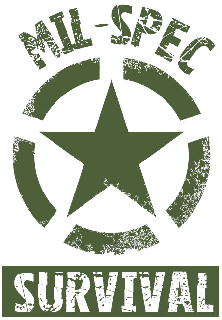 USMC FILBE Rucksack Set - Grade A - No Defects