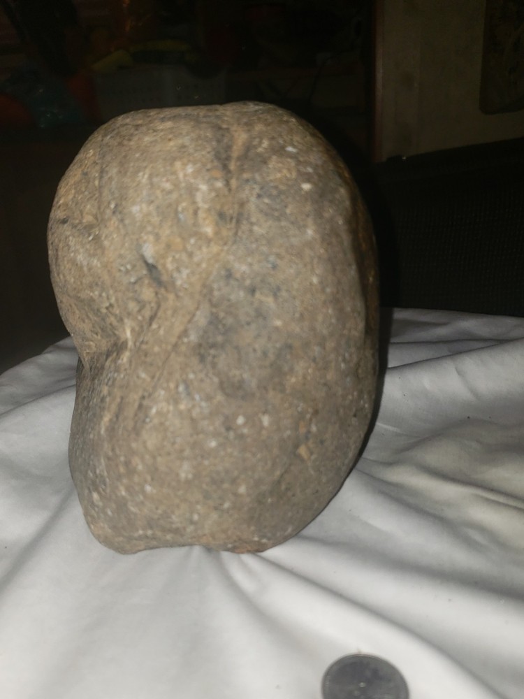 Conglomerate boulder from California